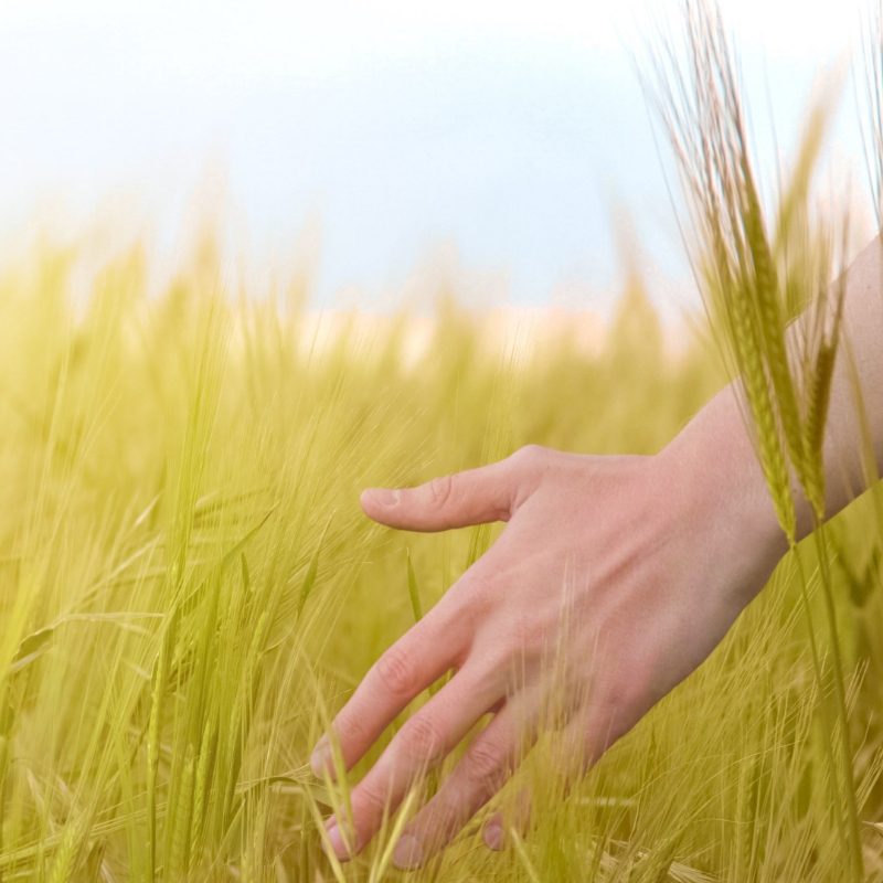Η Εταιρία μας
